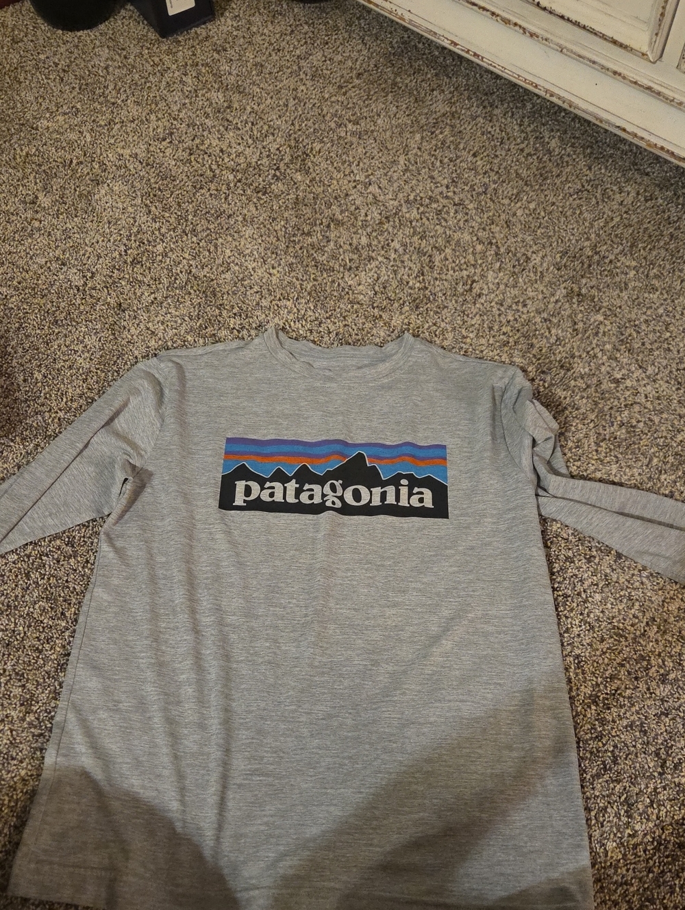 Patagonia Grey Long-Sleeve Logo Tee with Multicolor Stripe